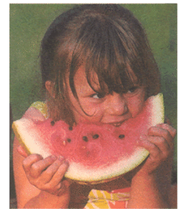 Guide to Growing Watermelon Image